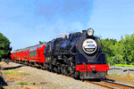 Steam Incorporated 4-8-2