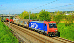 SBB CARGO 484