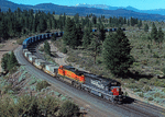 Southern Pacific Railroad  SD40M-2