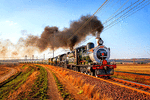 Rovos Rail Class 6 & 19D