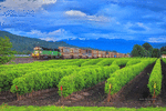 BNSF Railway GP40M