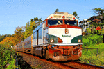 Amtrak NPCU