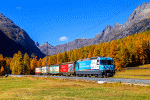 RhB - Rhätische Bahn Ge 4/4 III